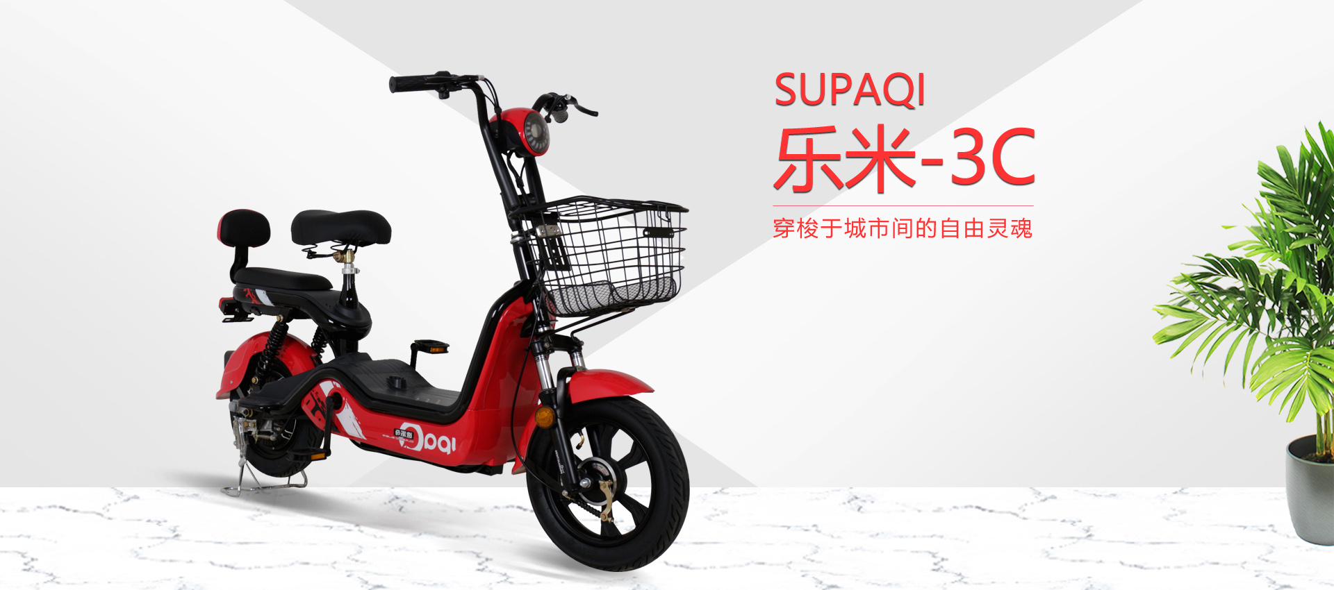 電動(dòng)自行車在未來(lái)十年將成為電動(dòng)車行業(yè)領(lǐng)導(dǎo)者嗎？